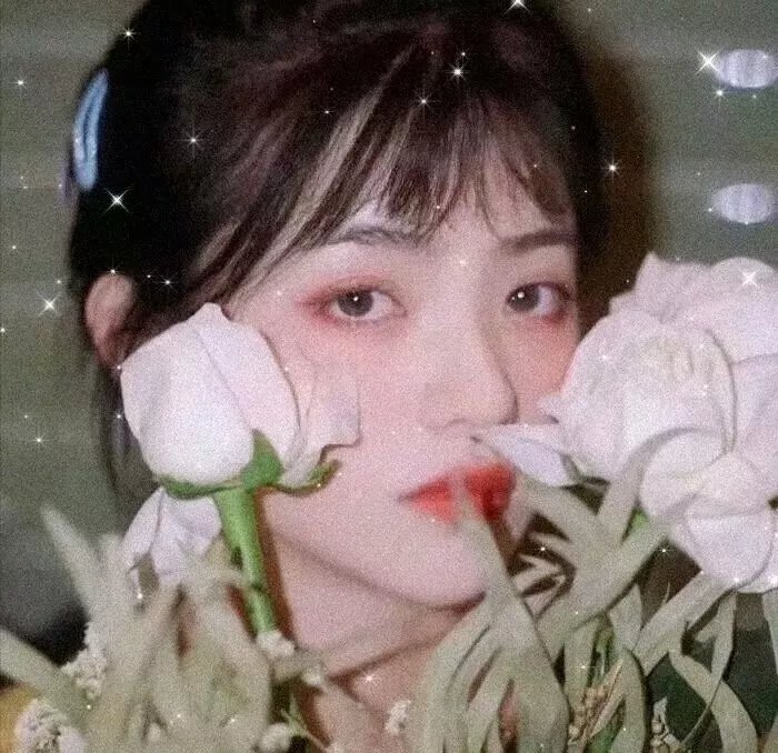 毛骗